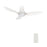 Carro Ryna 36" Ceiling Fan/Remote/Light Kit, White/White