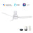 Carro Porter 44" Ceiling Fan/Remote/Light Kit, White/White - VS443N2-L11-W1-1-FM