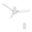 Carro Porter 44" Ceiling Fan/Remote/Light Kit