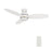 Carro Hobart 48" Ceiling Fan/Remote/Light Kit