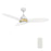 Carro Hobart 48" Ceiling Fan/Remote/Light Kit/Downrod, White