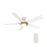 Carro Ascender 48" Ceiling Fan/Remote/Light Kit