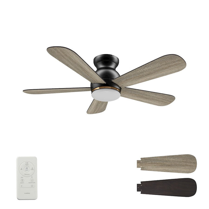 Carro Dubois 48" Ceiling Fan/Remote/Light Kit