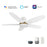 Carro Granville 48" Ceiling Fan/Remote/Light Kit