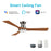 Carro Nicolet 52" Ceiling Fan/Remote/Light Kit, SV/Walnut - VS523A2-L12-SM2-1-FM