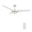 Carro Bedford 52" Ceiling Fan/Remote/Light Kit, White/White