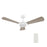 Carro Brisa 52" Ceiling Fan/Remote/Light Kit