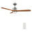 Carro Palmer 52" Ceiling Fan/Remote/Light Kit, Silver/Walnut