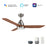 Carro Garrick 52" Ceiling Fan/Remote/Light Kit, SV/Walnut - VS523F3-L12-SM2-1