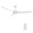 Carro Toulon 52" Ceiling Fan/Remote/Light Kit