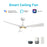 Carro Spezia 52" Ceiling Fan/Remote/Light Kit, White/White