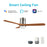 Carro Labelle 52" Ceiling Fan/Remote/Light Kit, SV/Walnut - VS523P3-L12-SM2-1-FM