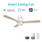 Carro Labelle 52" Ceiling Fan/Remote/Light Kit, White - VS523P3-L12-WM1-1-FM