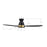 Carro York 52" Ceiling Fan/Remote/Light Kit