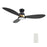 Carro York 52" Ceiling Fan/Remote/Light Kit