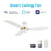 Carro York 52" Ceiling Fan/Remote/Light Kit, White/White - VS523Q7-L12-W1-1-FMA