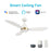 Carro York 52" Ceiling Fan/Remote/Light Kit/Downrod, White - VS523Q7-L12-W1-1A