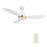 Carro York 52" Ceiling Fan/Remote/Light Kit/Downrod