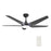 Carro Woodrow 52" Smart Ceiling Fan/Remote/Light Kit