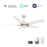 Carro Peyton 52" Ceiling Fan/Remote/Light Kit, White/White - VS525B4-L12-W1-1G