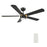 Carro Tarrasa 52" Ceiling Fan/Remote/Light Kit