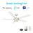 Carro Tarrasa 52" Ceiling Fan/Remote/Light Kit, White/White - VS525E2-L11-W1-1G