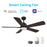 Carro Olinda 52" Ceiling Fan/Remote/Light Kit, BK/Walnut - VS525E3-L12-BG-1