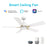 Carro Olinda 52" Ceiling Fan/Remote/Light Kit, White/White - VS525E3-L12-W1-1G