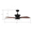 Carro Gladiolus 52" Smart Ceiling Fan/Light Kit, Black/Wooden