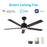 Carro Espear 52" Smart Ceiling Fan/Remote, Black/Walnut - VS525J-L12-B5-1