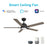 Carro Espear 52" Smart Ceiling Fan/Remote, Black/Wooden/Walnut - VS525J-L12-BG-1