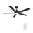 Carro Espear 52" Smart Ceiling Fan/Remote/Light Kit