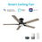 Carro Espear 52" Ceiling Fan/Remote/Light Kit, BK/Walnut - VS525J-L12-BG-1-FM