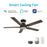 Carro Espear 52" Ceiling Flush Fan/Remote, BK/Walnut - VS525J-L12-BG-1-FMA