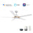 Carro Espear 52" Ceiling Fan/Remote/Light Kit, White/White - VS525J-L12-W1-1G