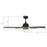 Carro Ascender 52" Wifi Smart Ceiling Fan/Remote/Light Kit