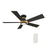 Carro Ascender 52" Ceiling Fan/Remote/Light Kit