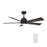 Carro Ascender 52" Wifi Smart Ceiling Fan/Remote/Light Kit