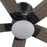 Carro Ascender 52" Ceiling Fan/Remote/Light Kit, Black/Walnut