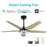 Carro Elira 52" Smart Ceiling Fan, Black/Wooden - VS525S-L13-B6-1