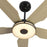 Carro Elira 52" Smart Ceiling Fan, Black