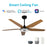 Carro Elira 52" Smart Ceiling Fan, Black/Wooden pattern - VS525S-L13-B9-1