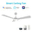 Carro Brisa 56" Ceiling Fan/Remote/Light Kit, White/White - VS563B3-L22-W1-1