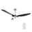 Carro Fletcher 56" Smart Ceiling Fan/Light Kit, Silver/Black