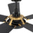 Carro Winston 56" Ceiling Fan/Remote/Light Kit, Black/Black