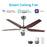 Carro Elira 56" Smart Ceiling Fan, Silver/Rosewood