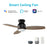 Carro Trento 60" Ceiling Fan/Remote/Light Kit, BK/Walnut - VS603Q-L12-BG-1