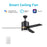 Carro Raiden 52" Ceiling Fan/LED Light Kit, Black/Black - VWGS-523A-L11-B2-1G