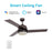 Carro Aeryn 52" Ceiling Fan/Wall Control, Bronze/Walnut - VWGS-523A1-L12-B5-1