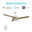 Carro Aeryn 52" Ceiling Fan/Wall Control, White/Champagne - VWGS-523A1-L12-WL-1